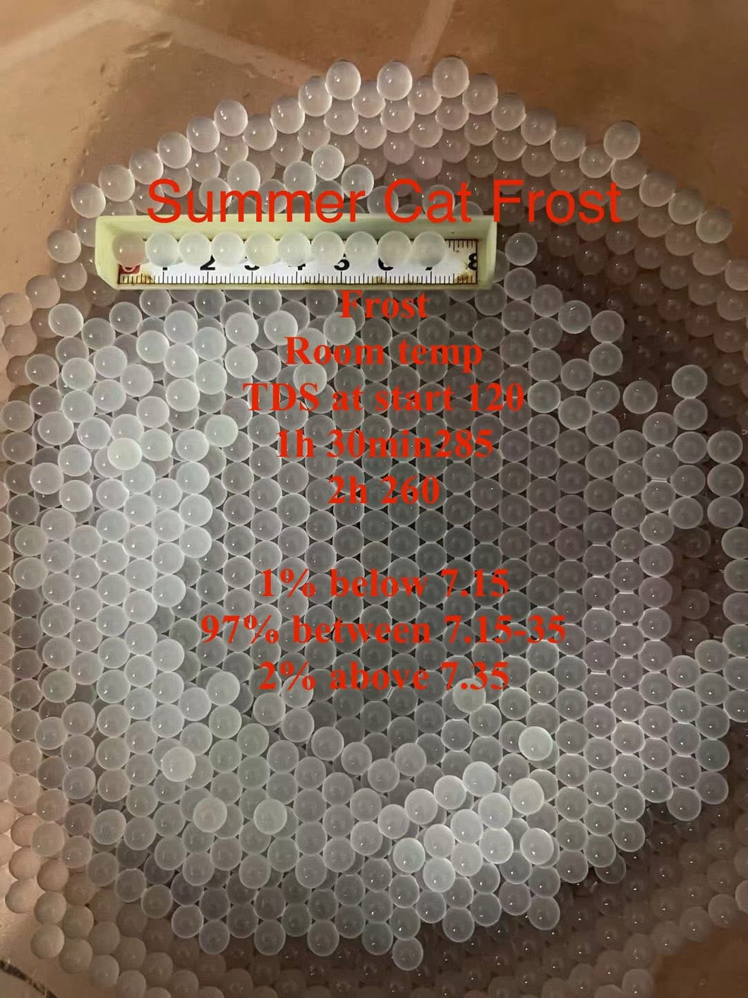 Summer Cat Gel Balls