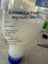 Load image into Gallery viewer, Summer Cat Gel Balls
